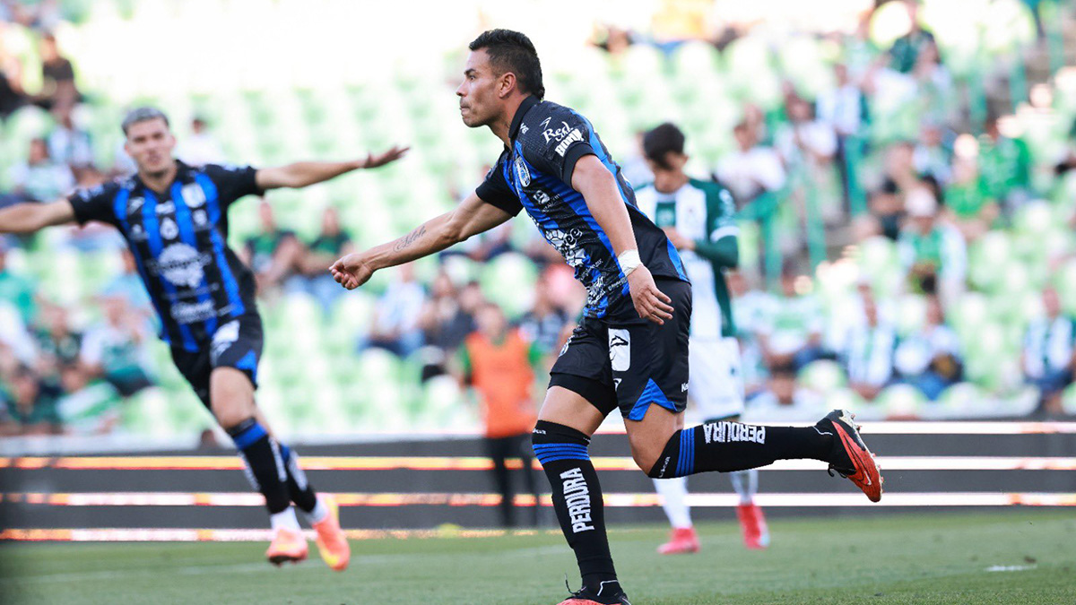 Gallos de Querétaro