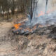 Incendio forestal