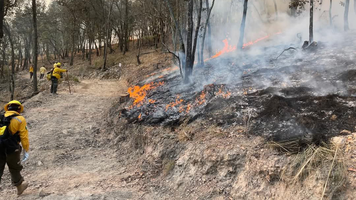 Incendio forestal