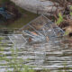 Inundaciones en Texas